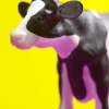 VACHE 2